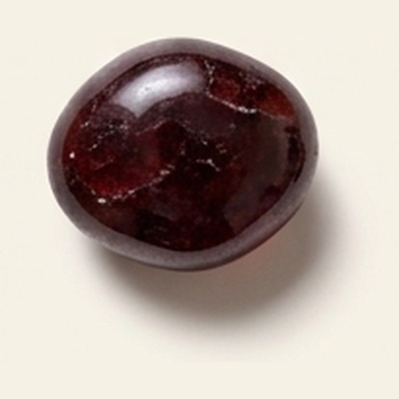 Garnet stone representing the zodiac sign Capricorn
